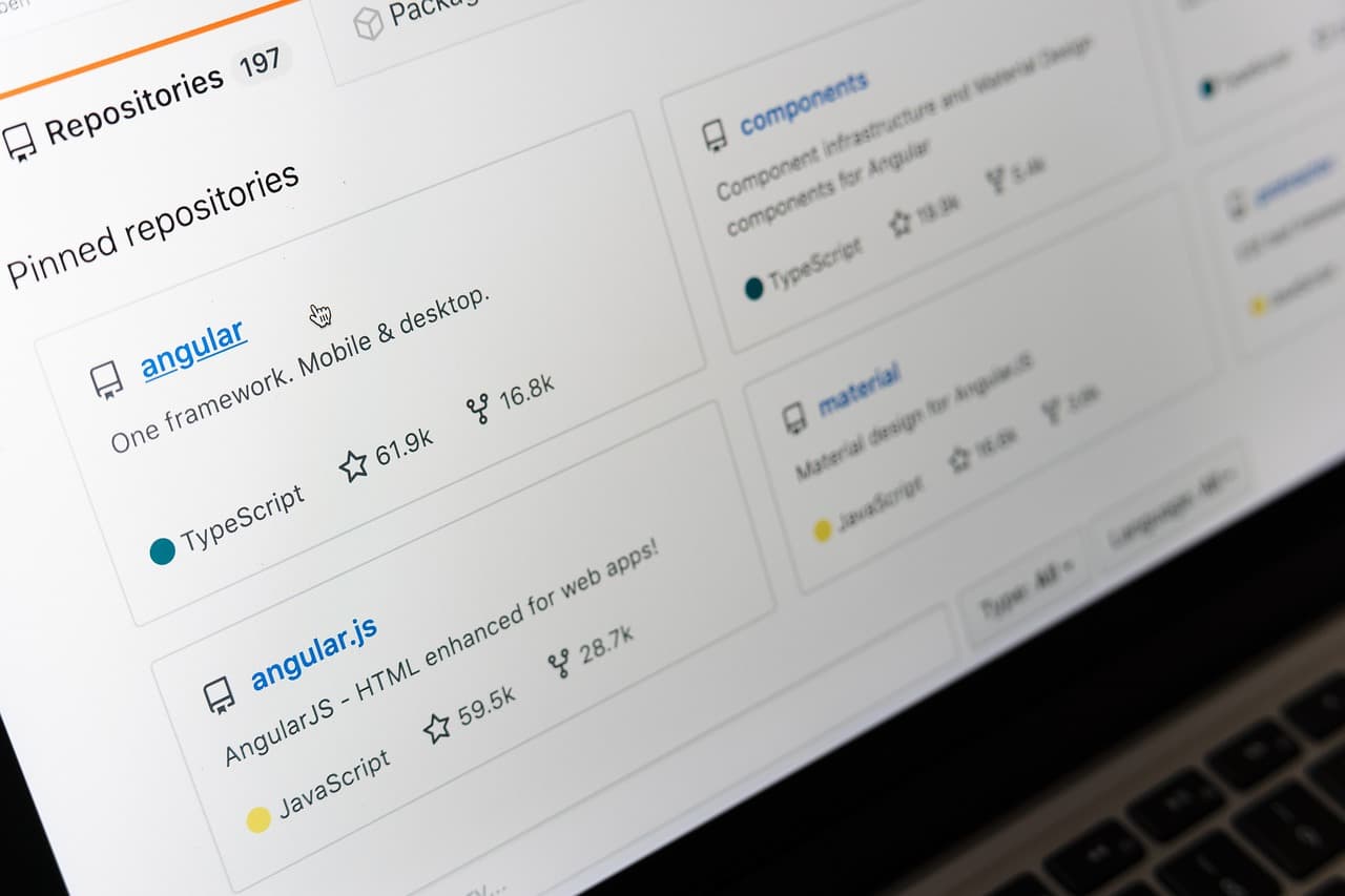 Github Profiles Search